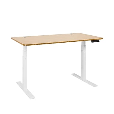 MotionWise Manager Series Electrical Height-Adjustable Desk