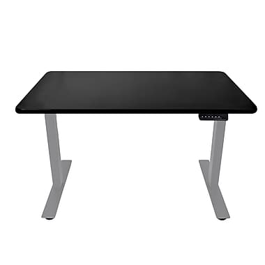 AnthroDesk 48" Electric Standing Desk